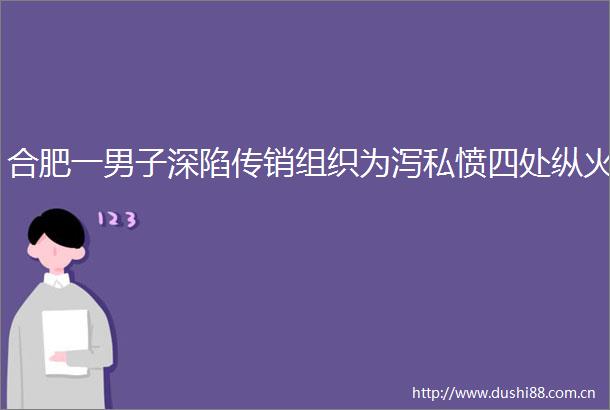 合肥一男子深陷组织为泻私愤四处纵火