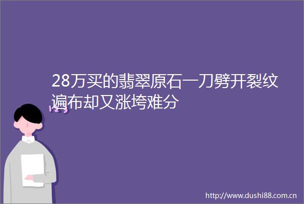 28万买的翡翠原石一刀劈开裂纹遍布却又涨垮难分