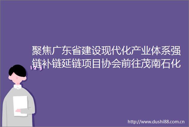 聚焦广东省建设现代化产业体系强链补链延链项目协会前往茂南石化工业园开展交流调研活动