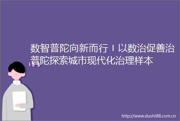 数智普陀向新而行〡以数治促善治普陀探索城市现代化治理样本