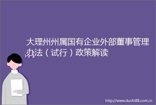 大理州州属国有企业外部董事管理办法（试行）政策解读