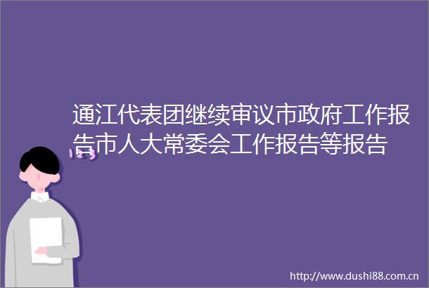 通江代表团继续审议市工作报告市人大常委会工作报告等报告