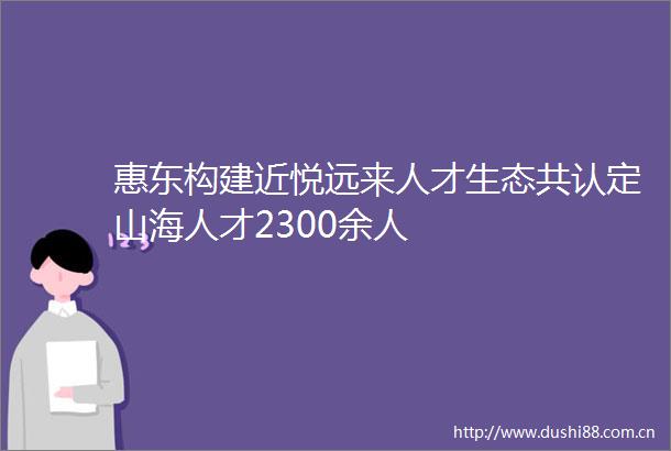 惠东构建近悦远来人才生态共认定山海人才2300余人