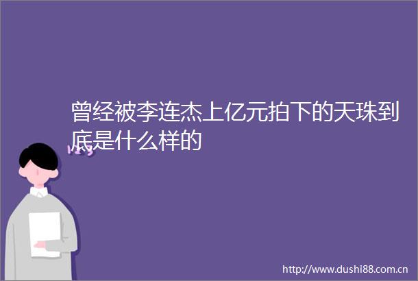 曾经被李连杰上亿元拍下的天珠到底是什么样的