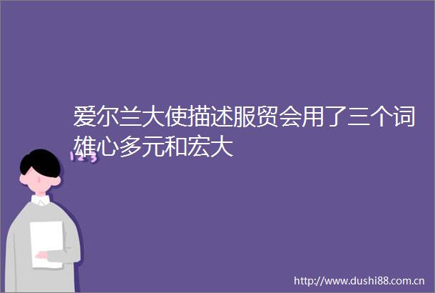 爱尔兰大使描述服贸会用了三个词雄心多元和宏大