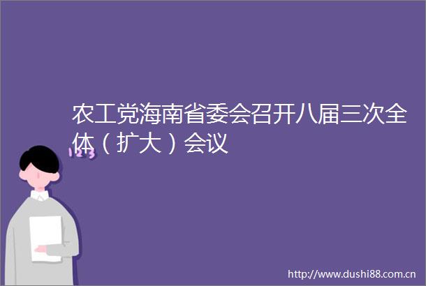 农工党海南省委会召开八届三次全体（扩大）会议