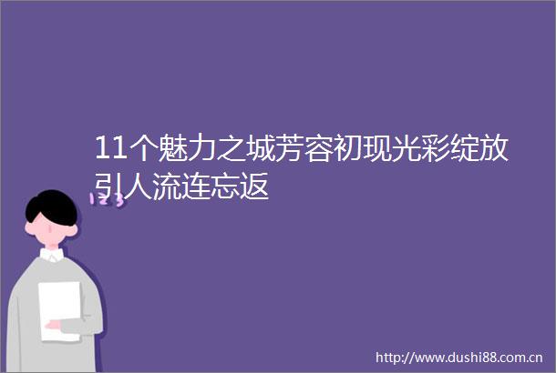 11个魅力之城芳容初现光彩绽放引人流连忘返