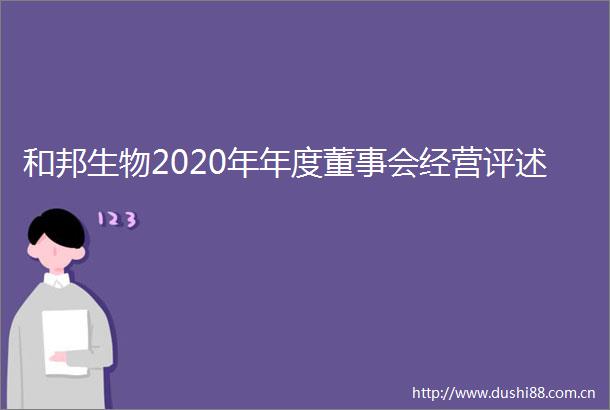 和邦生物2020年年度董事会经营评述