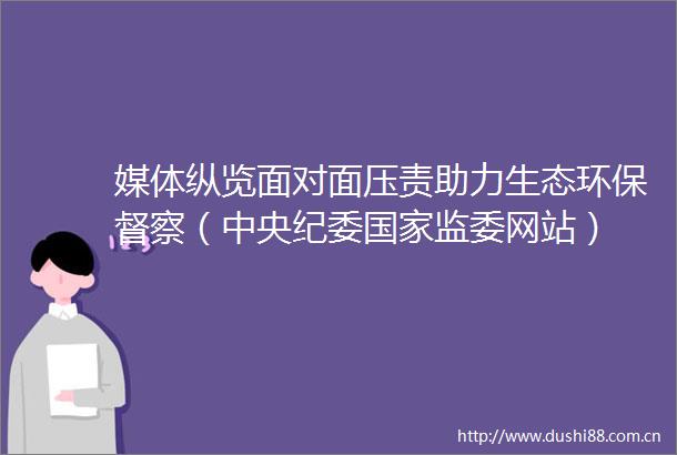 媒体纵览面对面压责助力生态环保督察（中央纪委监委网站）