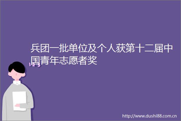 兵团一批单位及个人获第十二届青年志愿者奖