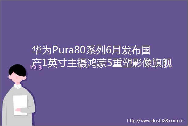 华为Pura80系列6月发布国产1英寸主摄鸿蒙5重塑影像旗舰标准