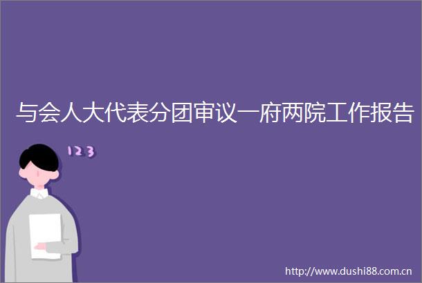 与会人大代表分团审议一府两院工作报告