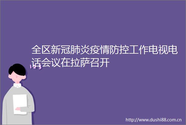全区新冠肺炎疫情防控工作电视电话会议在拉萨召开
