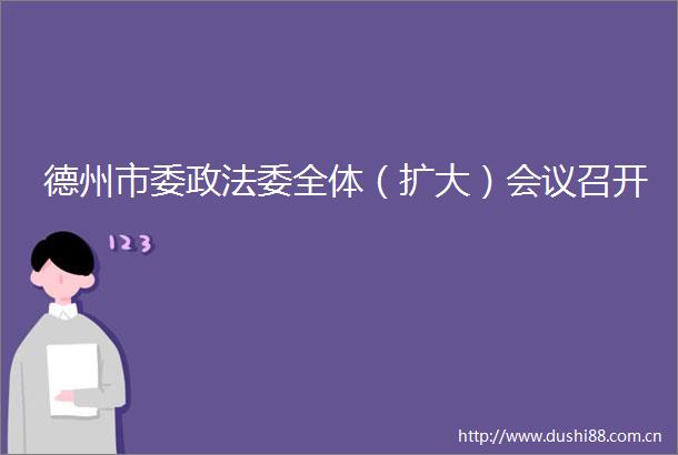 德州市委政法委全体（扩大）会议召开