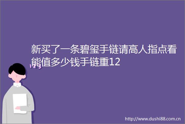 新买了一条碧玺手链请高人指点看能值多少钱手链重12