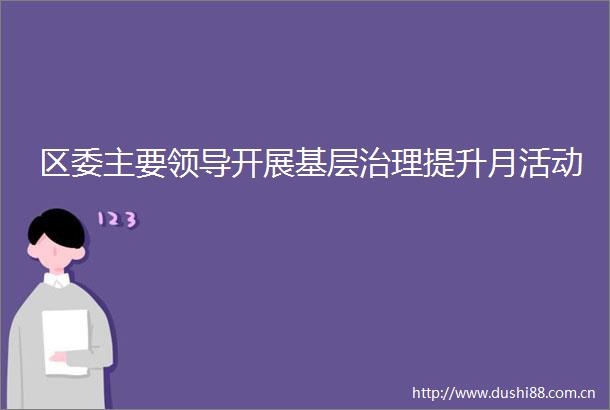 区委主要开展基层治理提升月活动