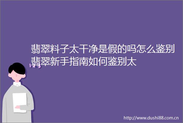 翡翠料子太干净是假的吗怎么鉴别翡翠新手指南如何鉴别太