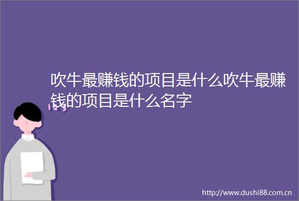 吹牛最赚钱的项目是什么吹牛最赚钱的项目是什么名字