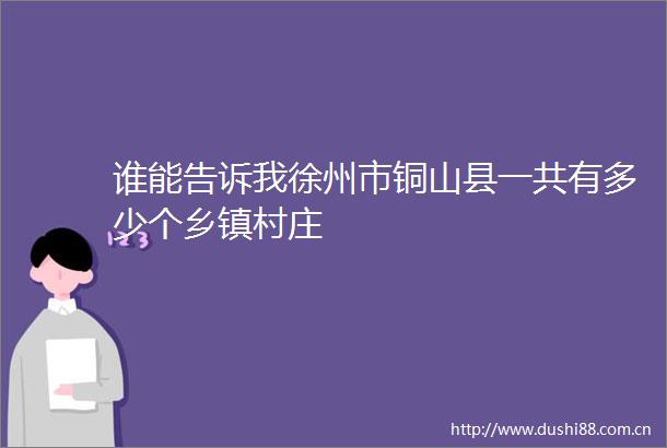 谁能告诉我徐州市铜山县一共有多少个乡镇村庄