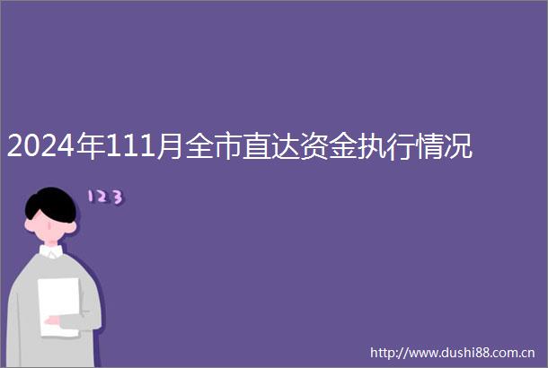 2024年111月全市直达资金执行情况