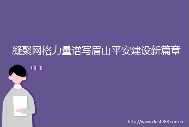 凝聚网格力量谱写眉山平安建设新篇章