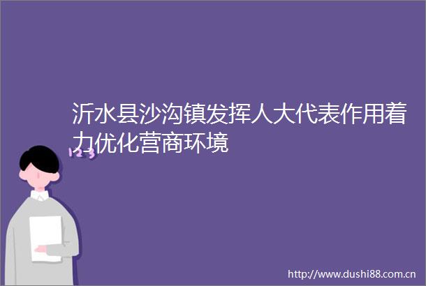 沂水县沙沟镇发挥人大代表作用着力优化营商环境