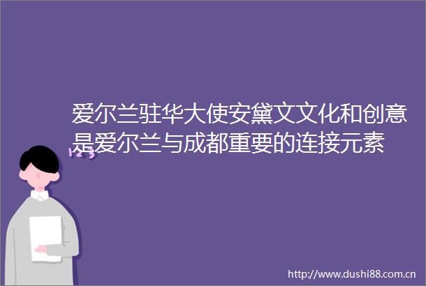 爱尔兰驻华大使安黛文文化和创意是爱尔兰与成都重要的连接元素