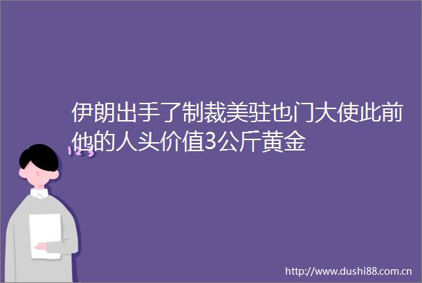 伊朗出手了制裁美驻也门大使此前他的人头价值3公斤黄金