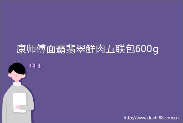 康师傅面霸翡翠鲜肉五联包600g