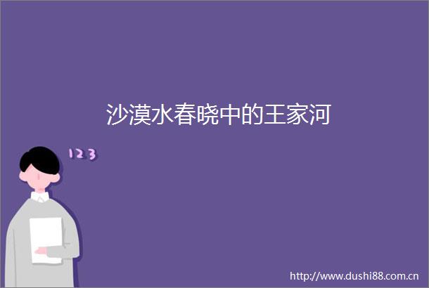沙漠水春晓中的王家河