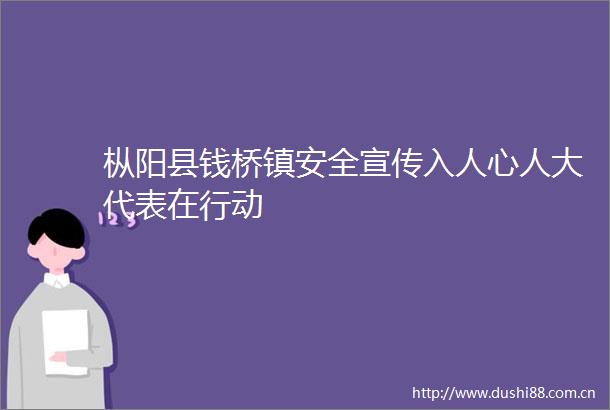 枞阳县钱桥镇安全宣传入人心人大代表在行动