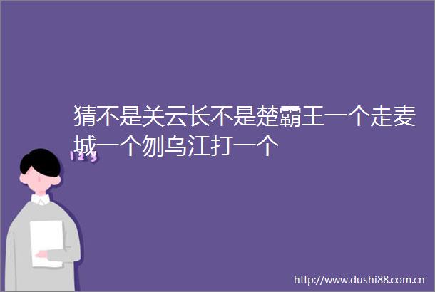 猜不是关云长不是楚霸王一个走麦城一个刎乌江打一个