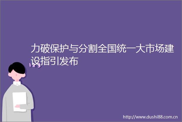 力破保护与分割全国统一大市场建设指引发布