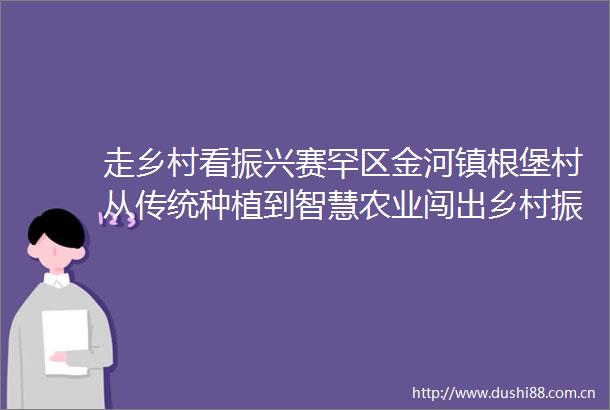 走乡村看振兴赛罕区金河镇根堡村从传统种植到智慧农业闯出乡村振兴新路径