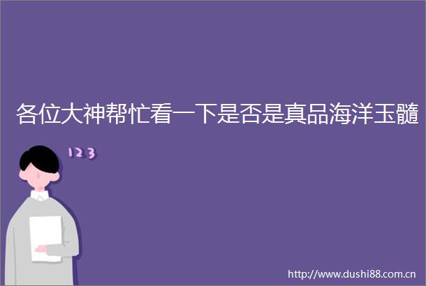 各位大神帮忙看一下是否是真品海洋玉髓
