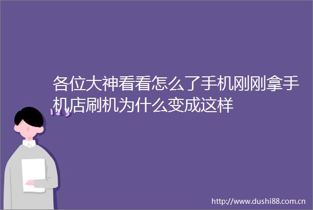 各位大神看看怎么了手机刚刚拿手机店刷机为什么变成这样