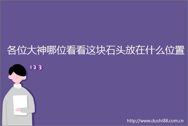 各位大神哪位看看这块石头放在什么位置