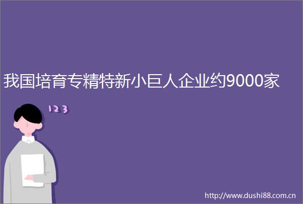我国培育专精特新小巨人企业约9000家
