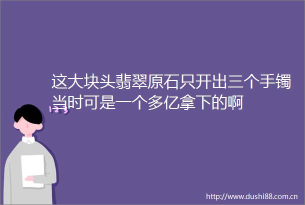 这大块头翡翠原石只开出三个手镯当时可是一个多亿拿下的啊