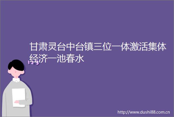 甘肃灵台中台镇三位一体激活集体经济一池春水
