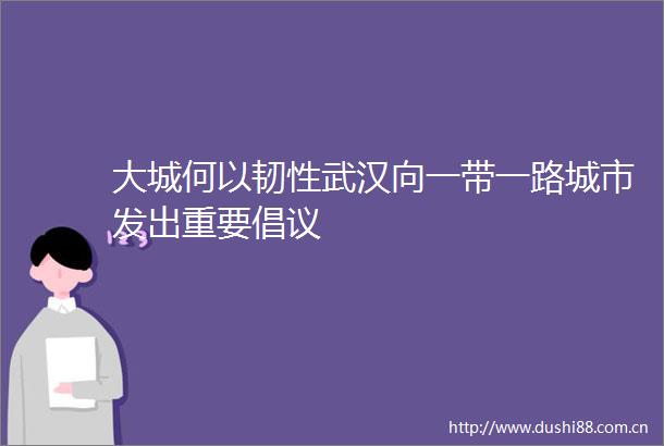 大城何以韧性武汉向一带一路城市发出重要倡议