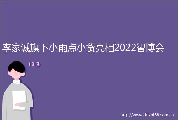 李家诚旗下小雨点小贷亮相2022智博会