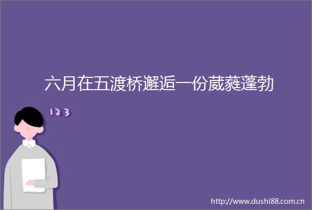 六月在五渡桥邂逅一份葳蕤蓬勃