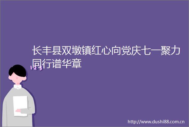 长丰县双墩镇红心向党庆七一聚力同行谱华章