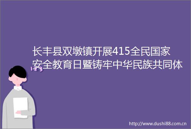 长丰县双墩镇开展415全民安全教育日暨铸牢中华民族共同体意识宣传活动