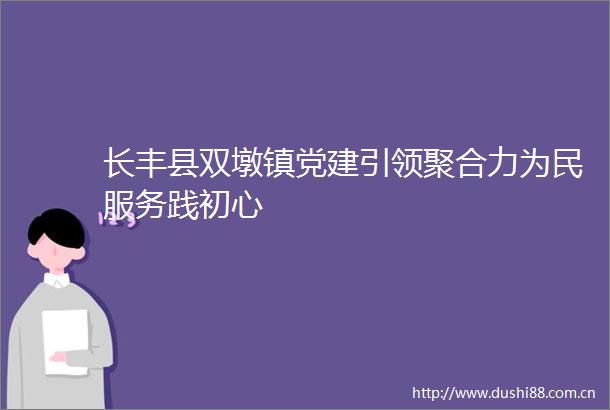 长丰县双墩镇党建引领聚合力为民服务践初心