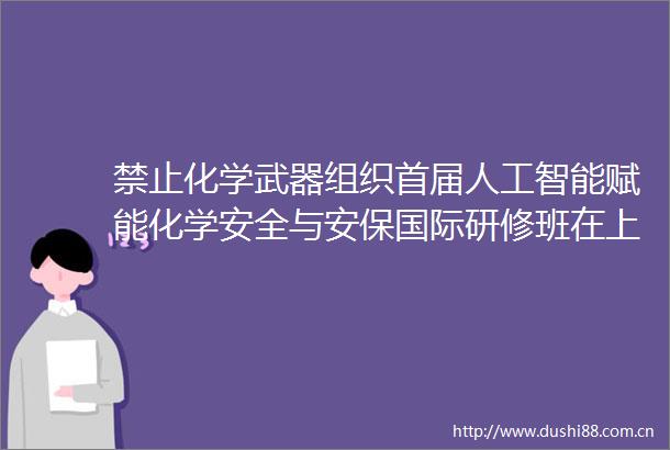 禁止化学武器组织首届人工智能赋能化学安全与安保国际研修班在上海开班
