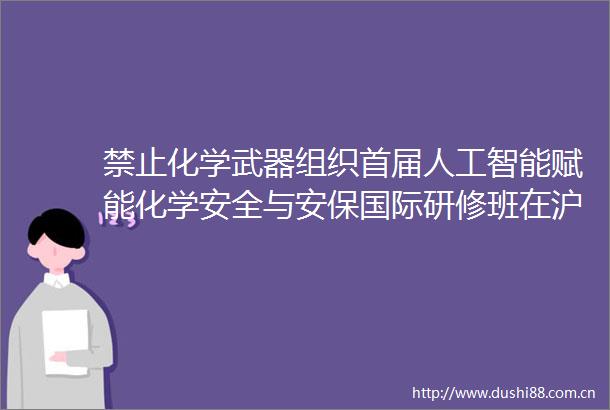 禁止化学武器组织首届人工智能赋能化学安全与安保国际研修班在沪开班
