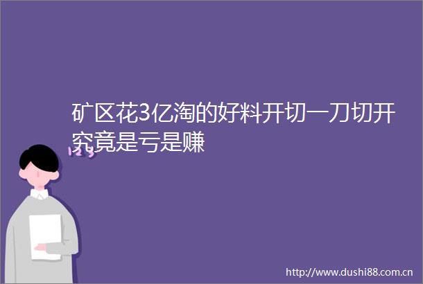 矿区花3亿淘的好料开切一刀切开究竟是亏是赚