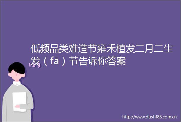 低频品类难造节雍禾植发二月二生发（fā）节告诉你答案